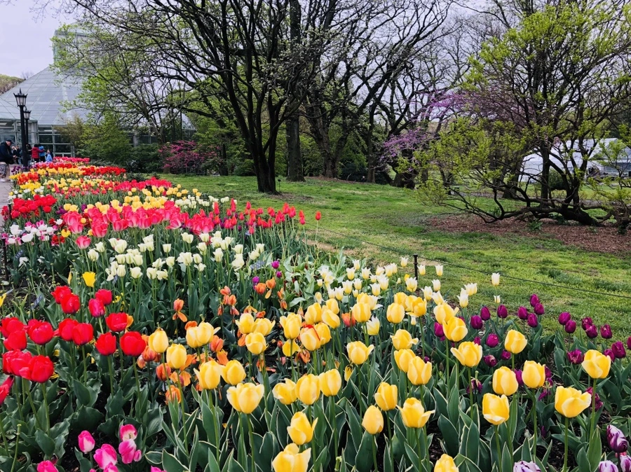 IMG_3712.jpg?type=w966