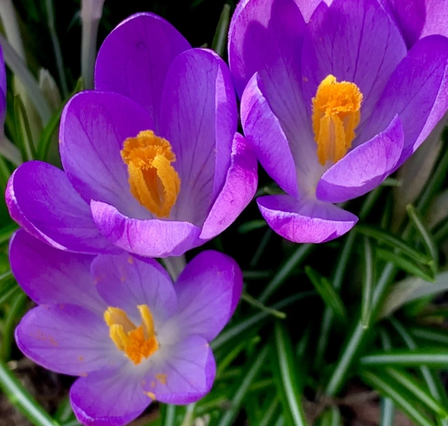 IMG_0141.jpg?type=w966