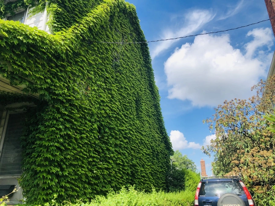 IMG_9963.jpg?type=w966