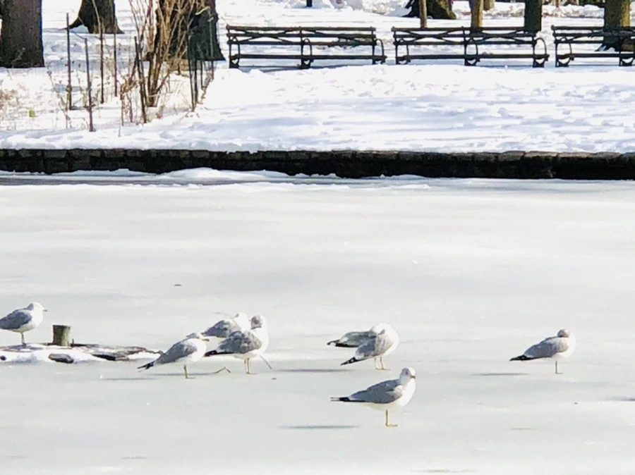 IMG_0179.jpg?type=w966