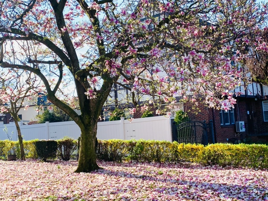 IMG_2706.jpg?type=w966