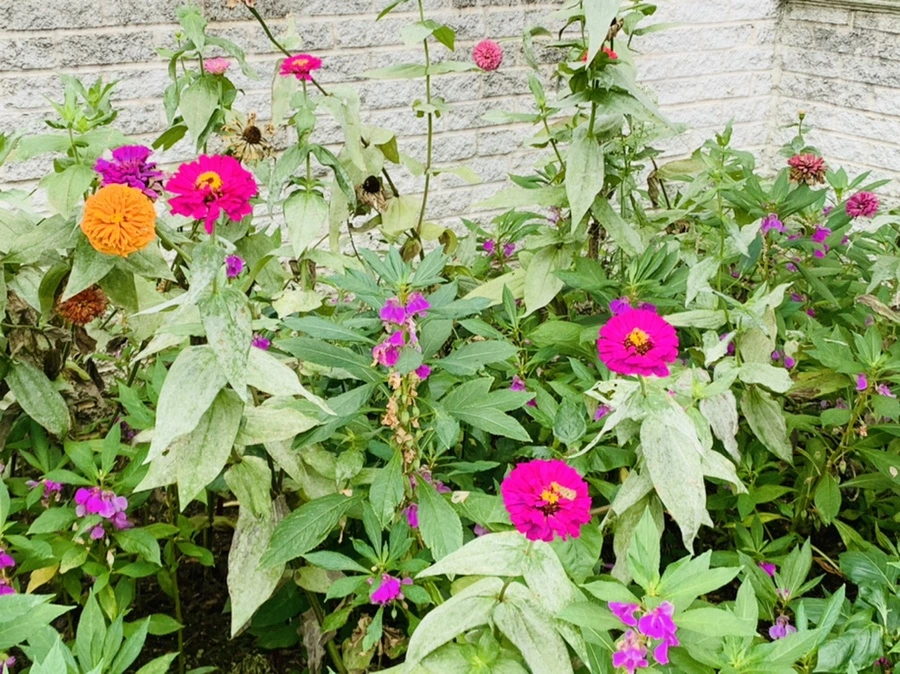 IMG_5903.jpg?type=w966