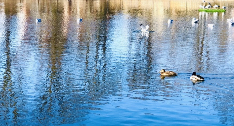 IMG_9759.jpg?type=w966