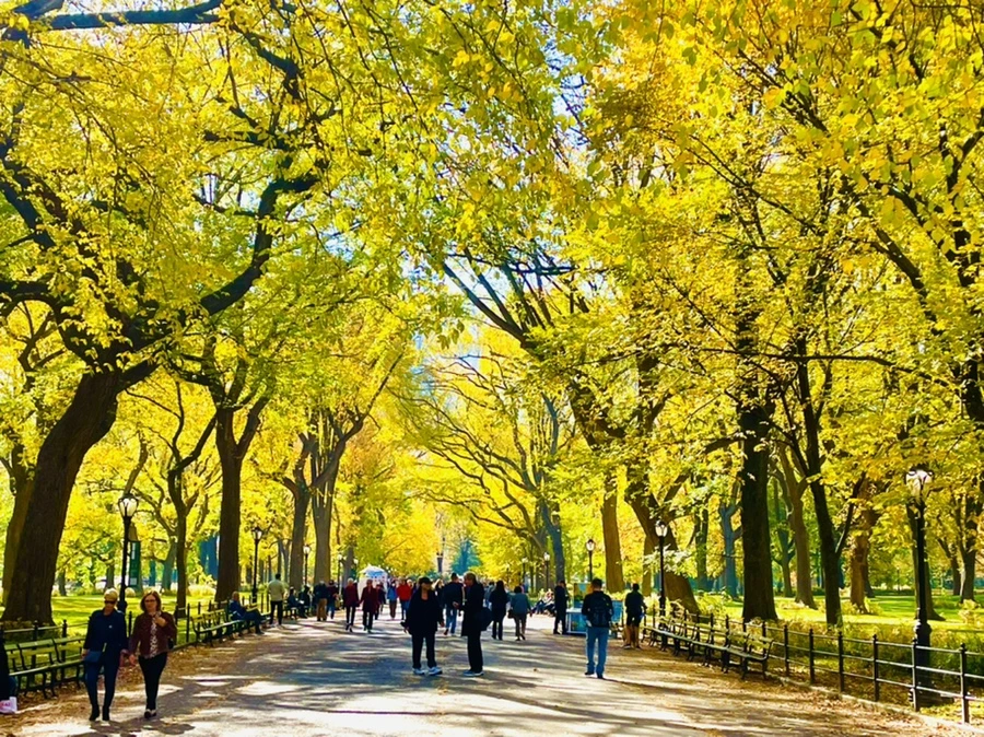 IMG_1580.jpg?type=w966