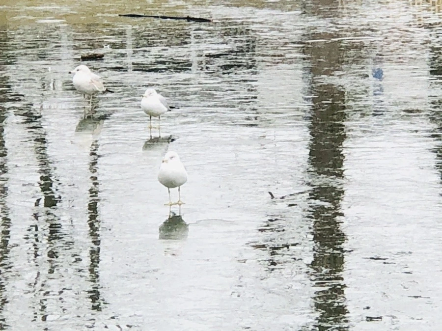 Bufv1aNV9W6YkA5K-BEz5jB4UtI