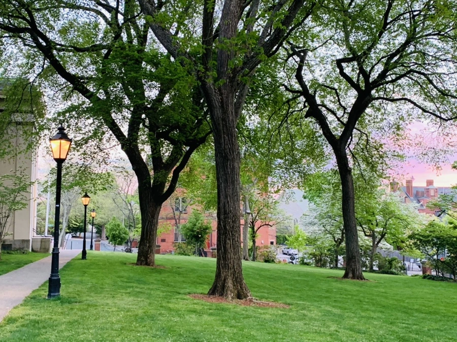 IMG_2570.jpg?type=w966