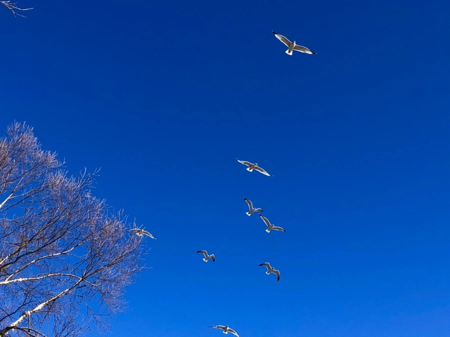 IMG_7850.jpg?type=w966