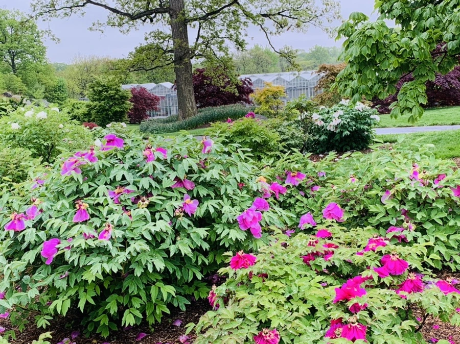 IMG_9975.jpg?type=w966