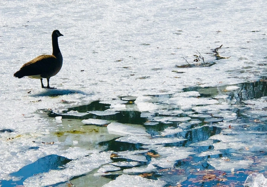 IMG_5092.jpg?type=w966