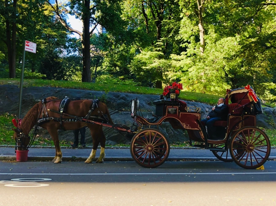 IMG_1654.jpg?type=w966