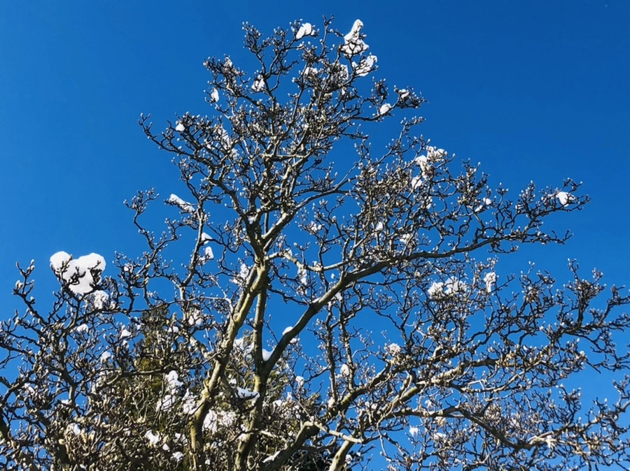 IMG_1396.jpg?type=w966