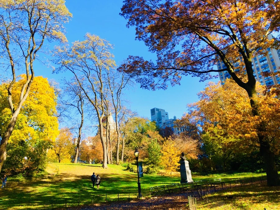 IMG_4226.jpg?type=w966