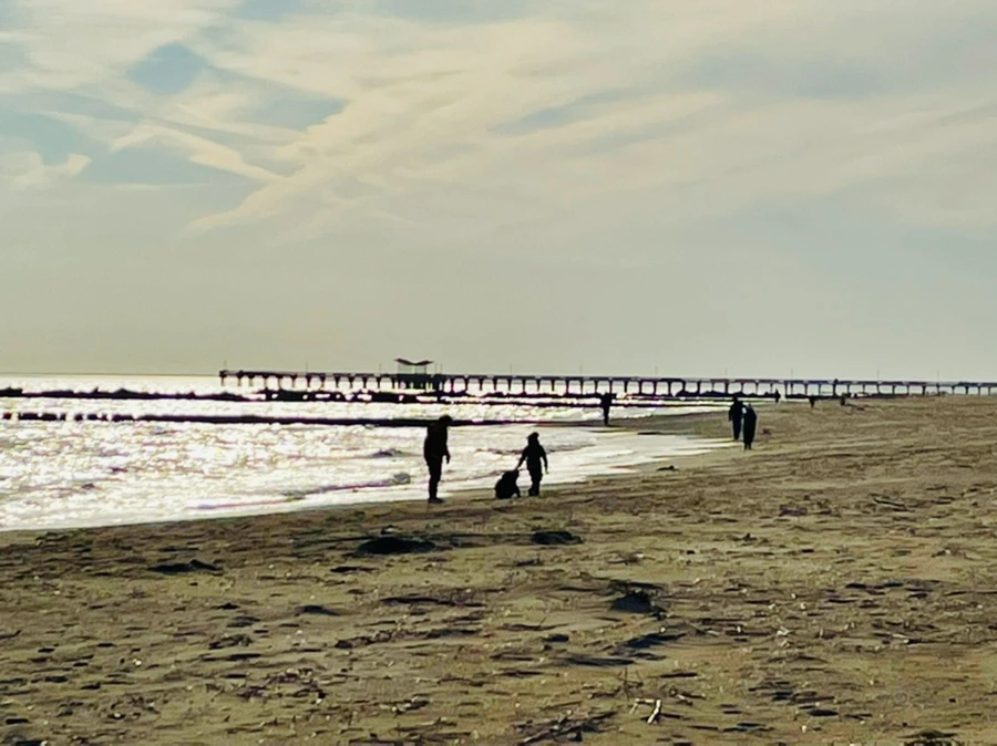 IMG_5089.jpg?type=w966