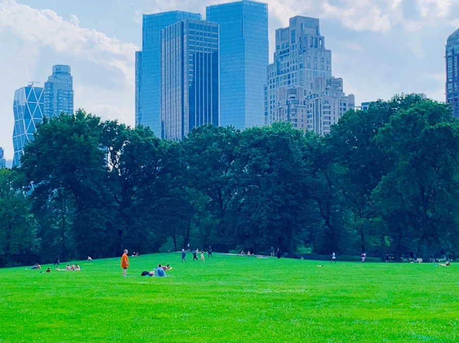 IMG_1694.jpg?type=w966