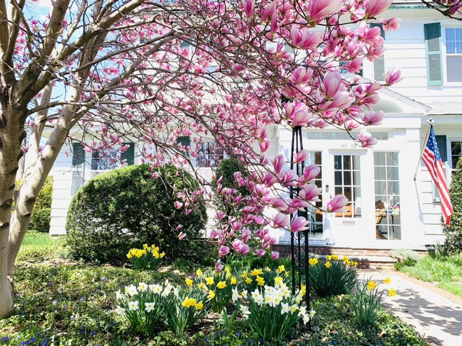 IMG_8566.jpg?type=w966