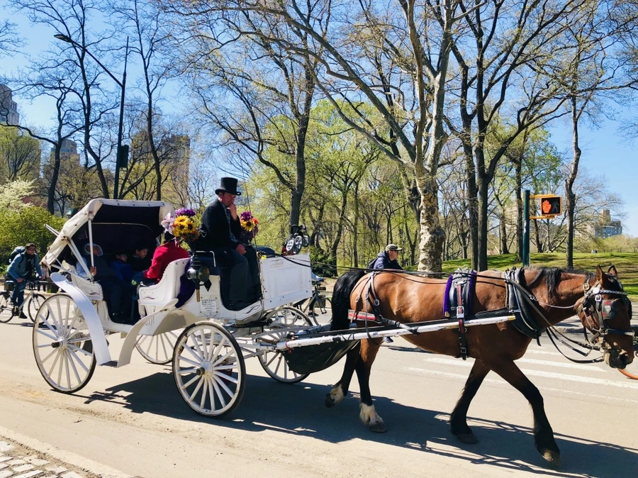 IMG_3113.jpg?type=w966