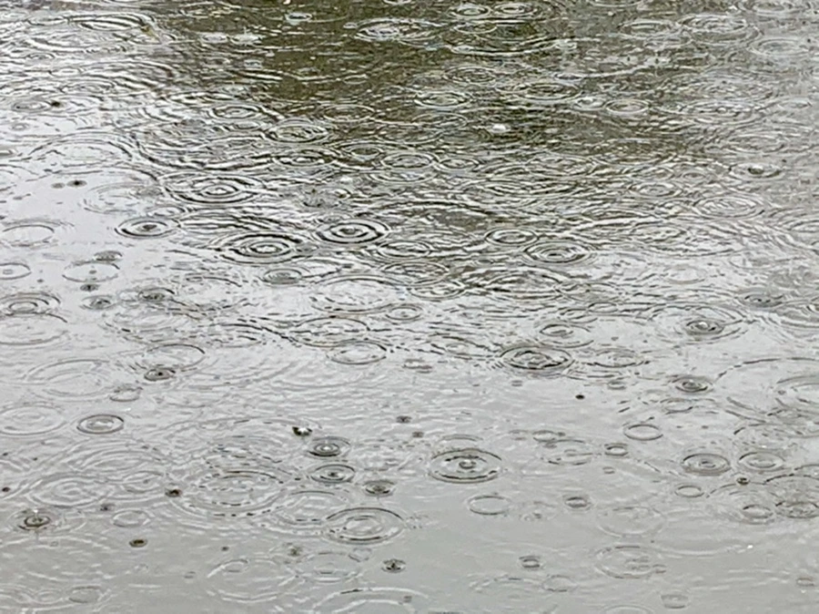 IMG_2103.jpg?type=w966