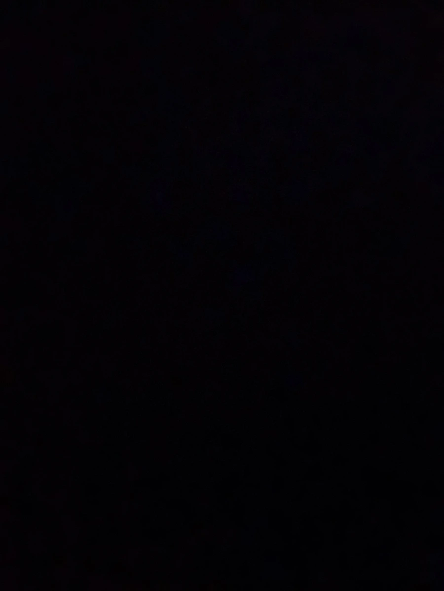 IMG_0102.jpg?type=w966