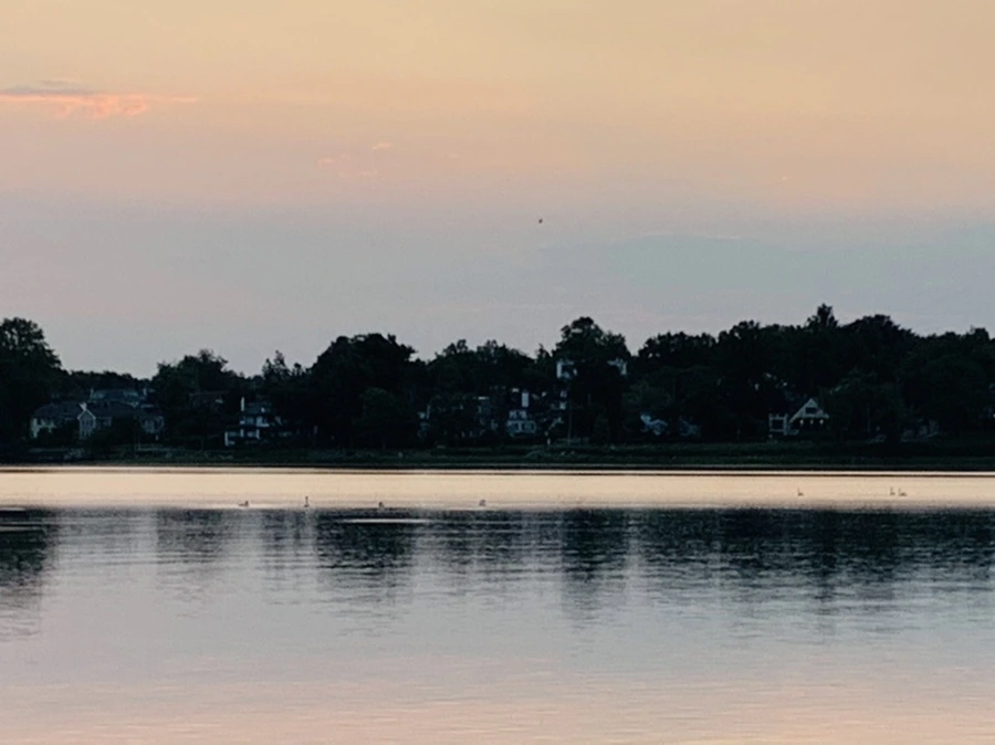 IMG_4593.jpg?type=w966