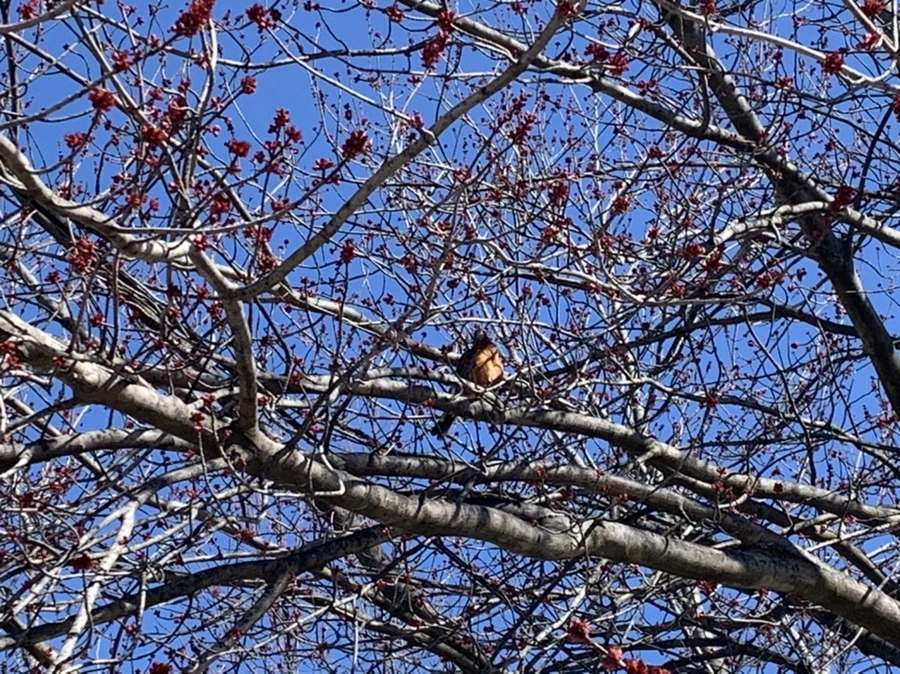 IMG_2588.jpg?type=w966