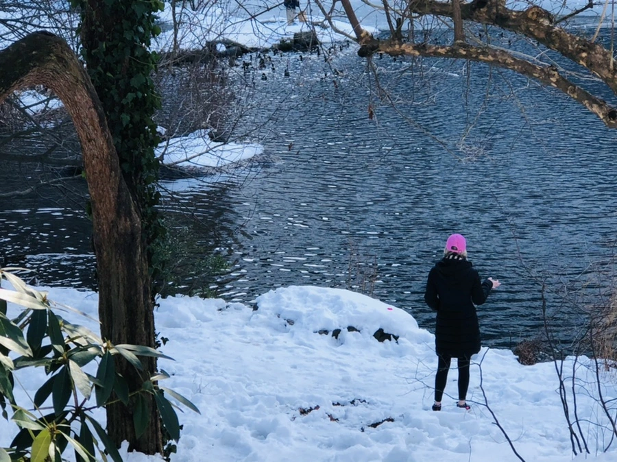 IMG_0472.jpg?type=w966