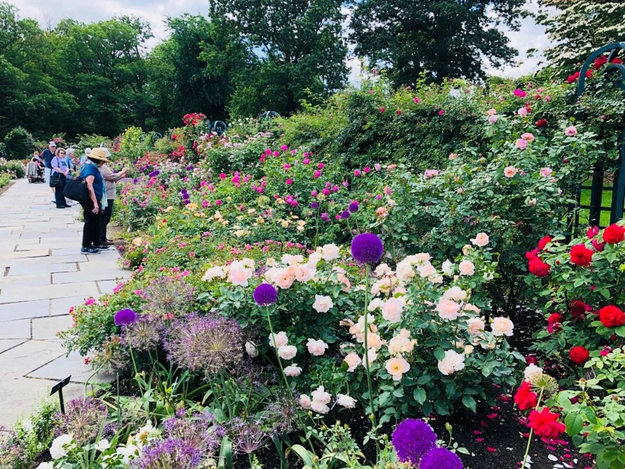 IMG_7147.jpg?type=w966