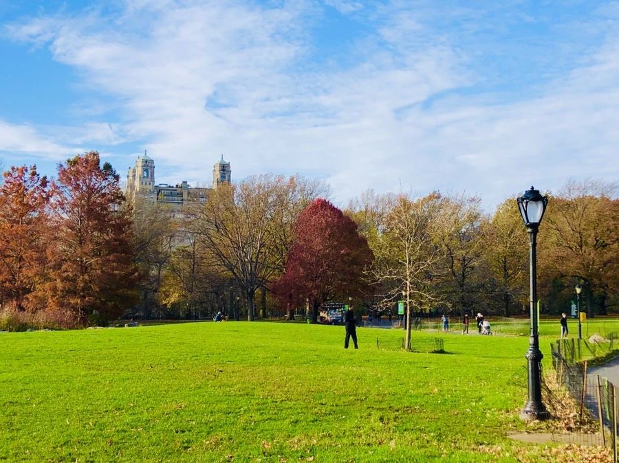 IMG_5002.jpg?type=w966