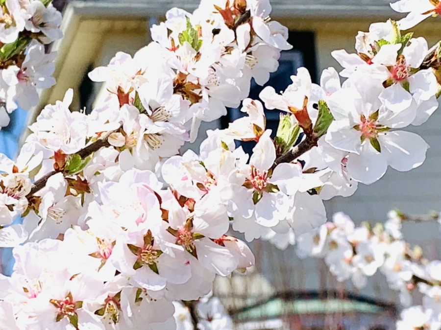 IMG_7647.jpg?type=w966