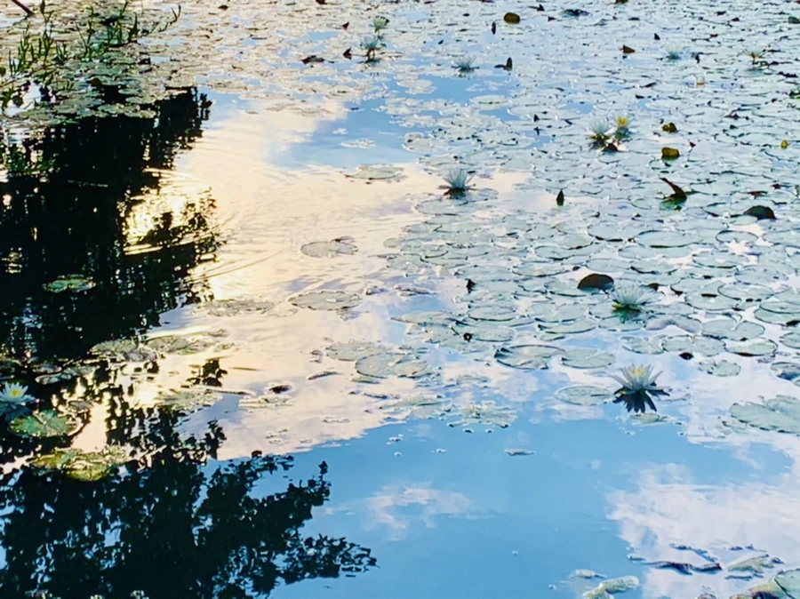 IMG_5866.jpg?type=w966