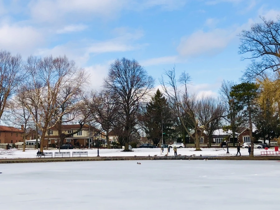 IMG_2898.jpg?type=w966