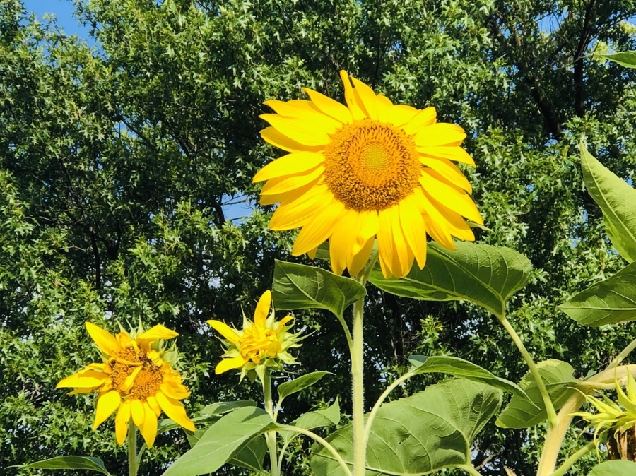 IMG_9395.jpg?type=w966