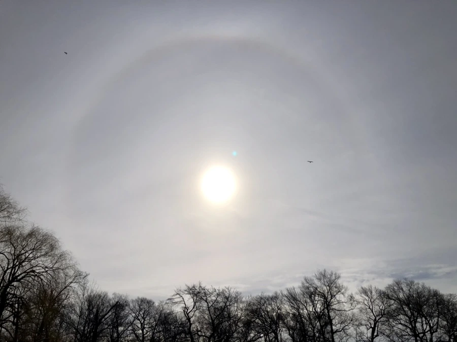 IMG_1676.jpg?type=w966