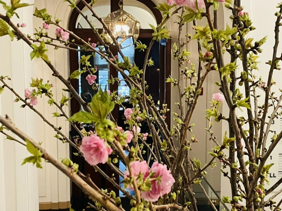 IMG_8301.jpg?type=w966