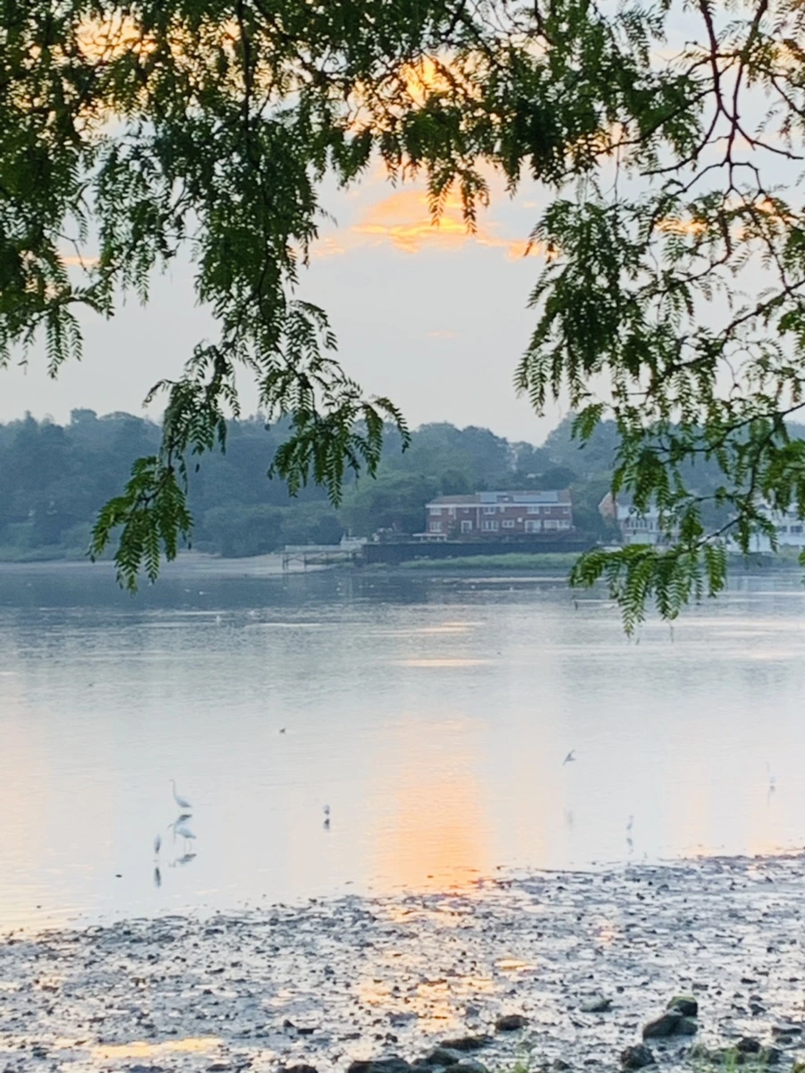 IMG_8203.jpg?type=w966