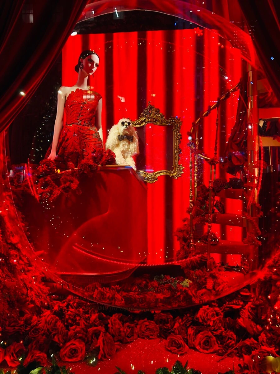 IMG_8221.jpg?type=w966