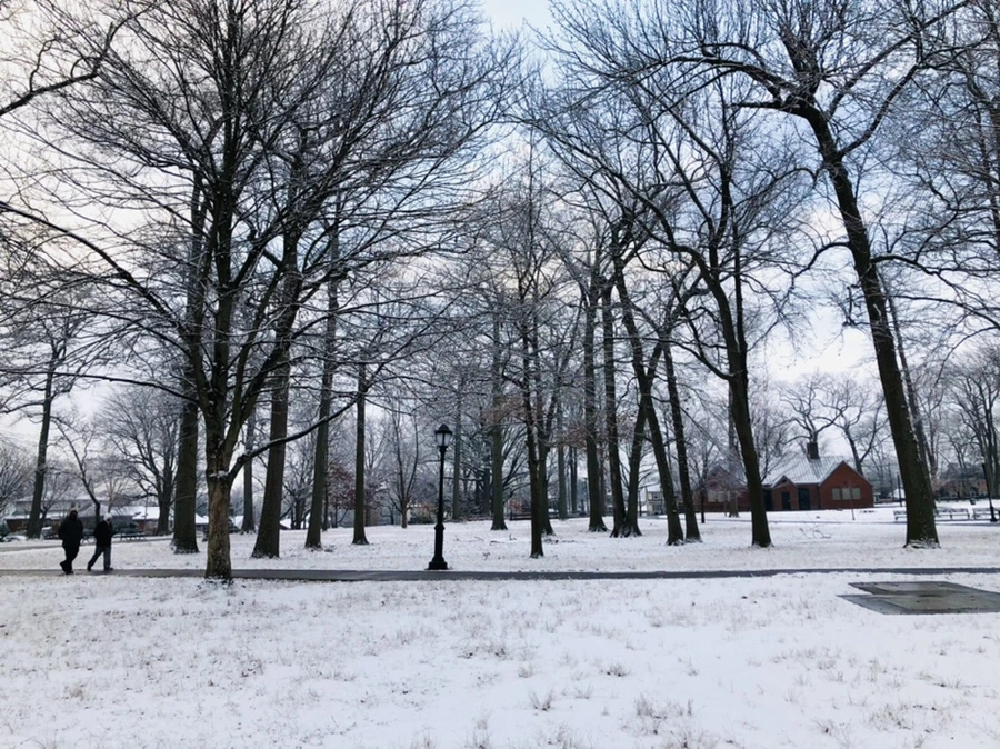 IMG_4507.jpg?type=w966