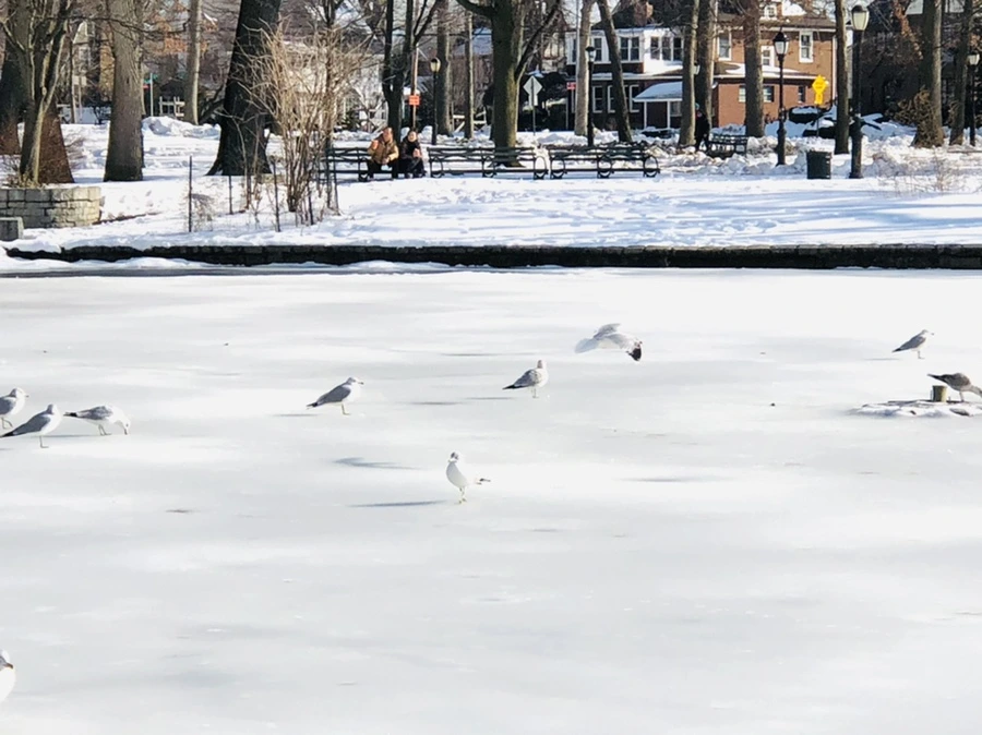 IMG_0325.jpg?type=w966