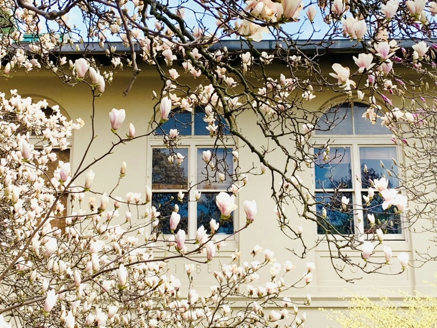 IMG_7200.jpg?type=w966