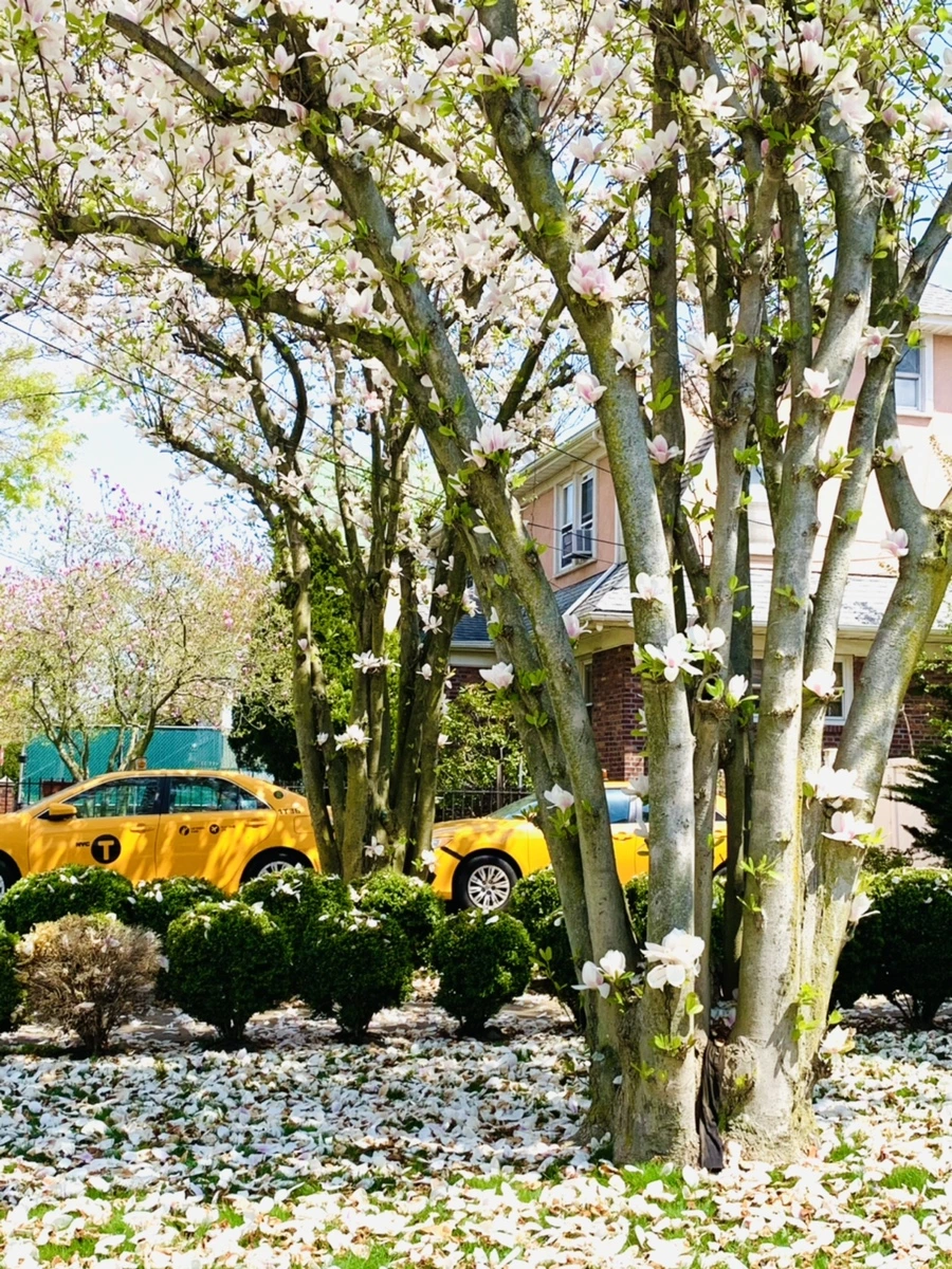 IMG_3927.jpg?type=w966