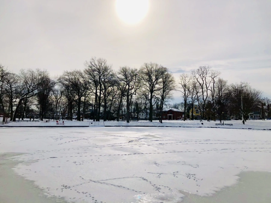 IMG_1697.jpg?type=w966