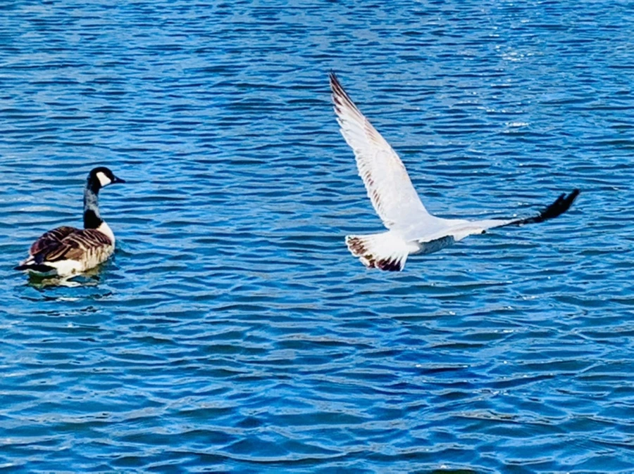 IMG_8310.jpg?type=w966