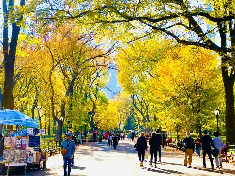 IMG_1563.jpg?type=w966