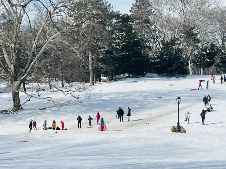 IMG_0970.jpg?type=w966