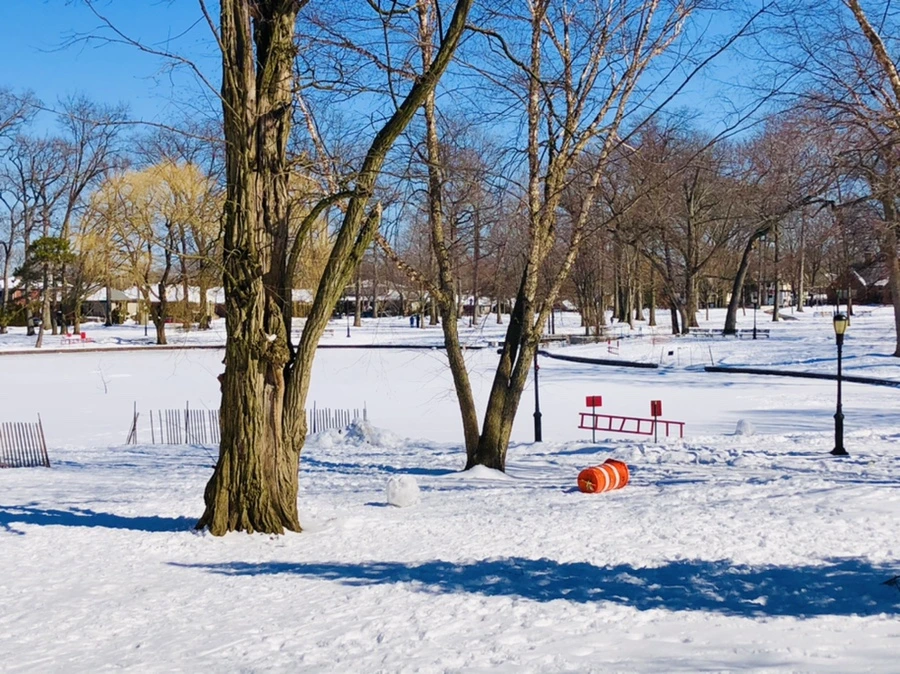 IMG_3956.jpg?type=w966