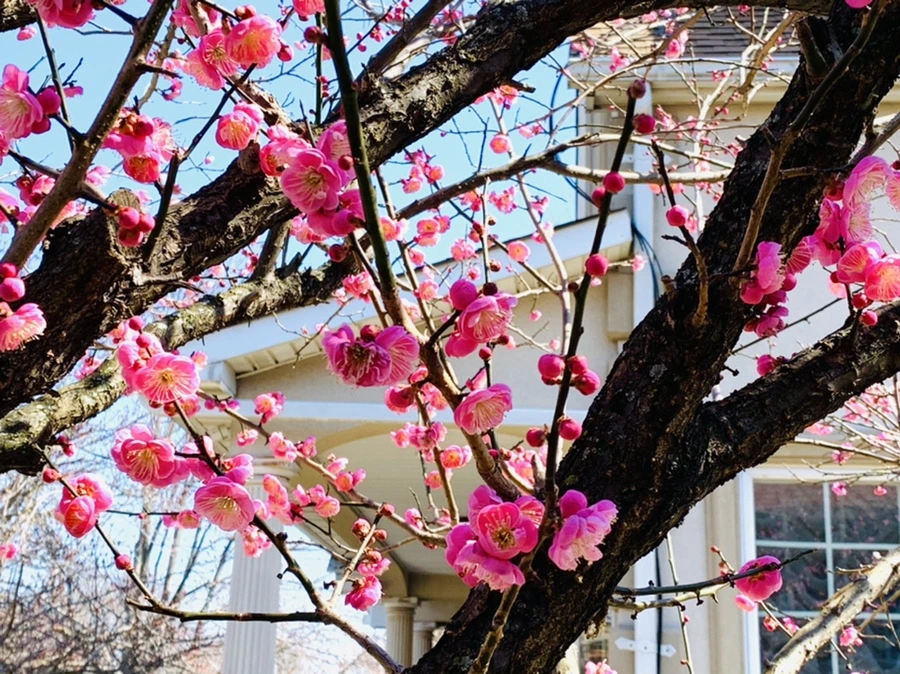 IMG_2991.jpg?type=w966