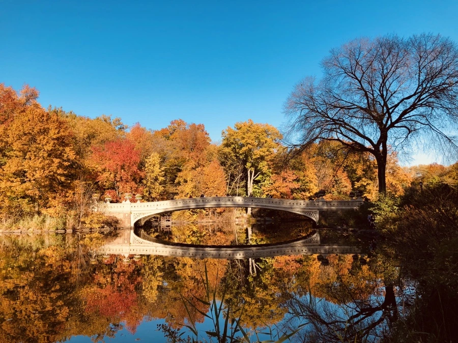 IMG_3600.jpg?type=w966