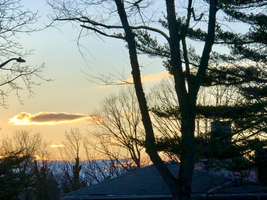 IMG_3050.jpg?type=w966