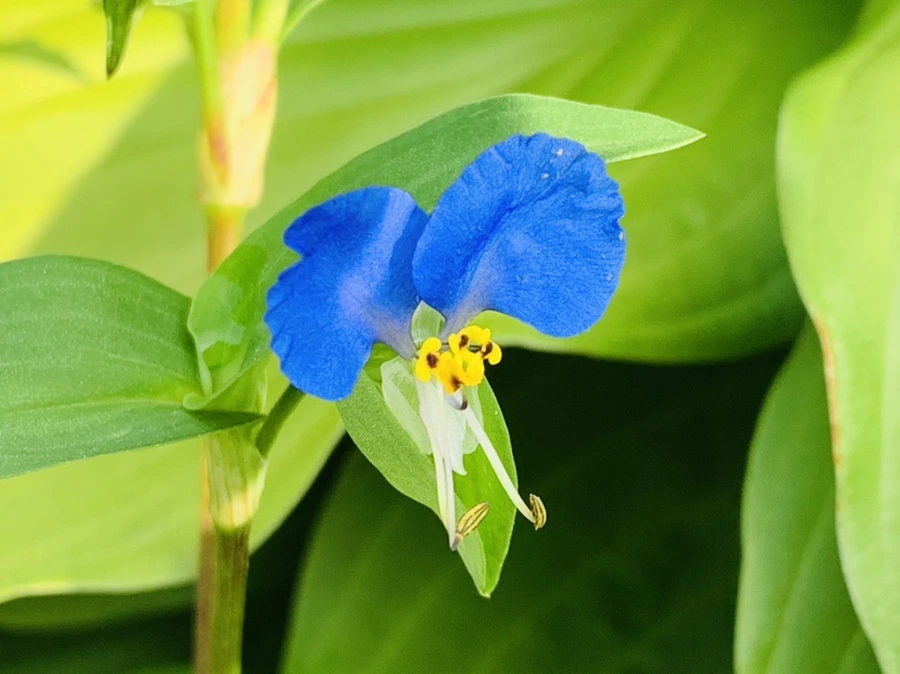 IMG_5628.jpg?type=w966