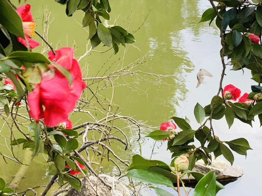 IMG_6447.jpg?type=w966