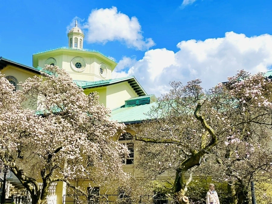 2DK8VibdeejS98oa1sP_BccvqnY